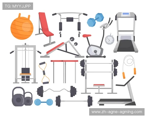 健身器材品牌官网查询及运动器械产品详细介绍