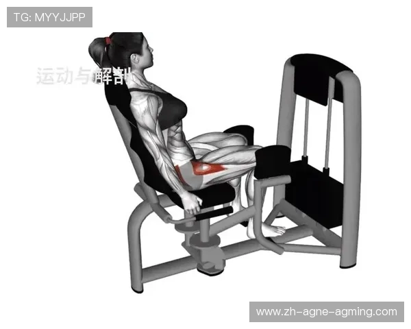 哪种健身器材最适合练臀部肌肉及训练计划推荐