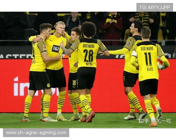 德甲当前有哪些球队参与2024-25赛季比赛？