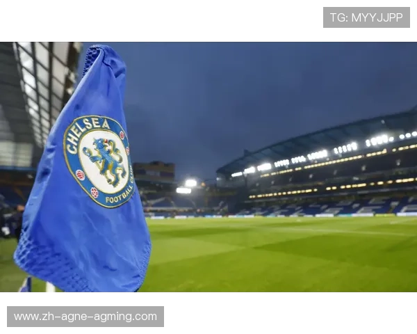 英超球队欧冠整体表现分析：竞争力与战术演变趋势