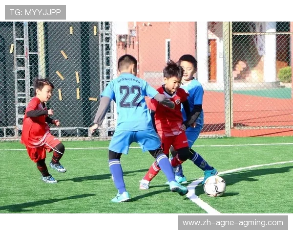 查看最新动态全国青少年足球联赛赛事工作会议顺利举行